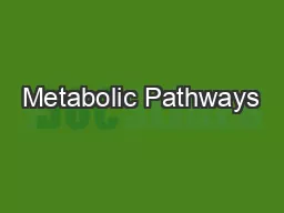 Metabolic Pathways