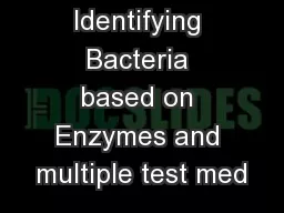 Identifying Bacteria based on Enzymes and multiple test med