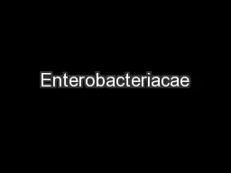 Enterobacteriacae