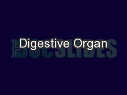 Digestive Organ