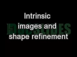 Intrinsic images and shape refinement