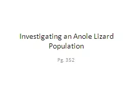 Investigating an Anole Lizard Population