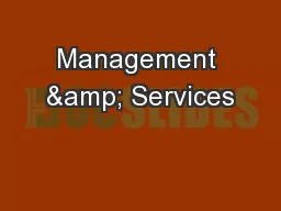 Management & Services