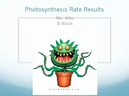 Photosynthesis Rate Results