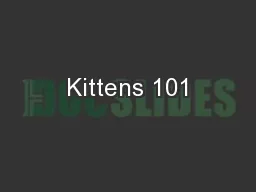 Kittens 101