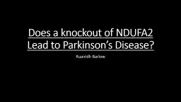 Does a knockout of NDUFA2 Lead to Parkinson’s Disease?