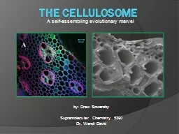 The Cellulosome