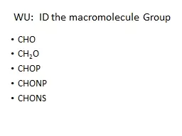 WU:  ID the macromolecule Group