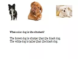   What color dog is the shortest