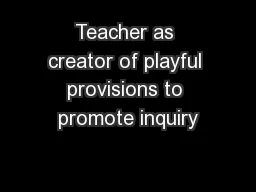 Teacher as creator of playful provisions to promote inquiry