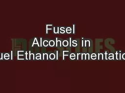 Fusel Alcohols in Fuel Ethanol Fermentation