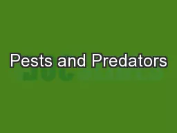 Pests and Predators