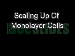 Scaling Up Of Monolayer Cells
