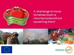 A challenge to move tomatoes down a mountainside without sq