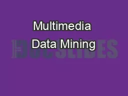 Multimedia Data Mining