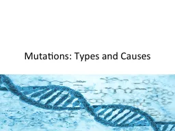 Mutations: Types