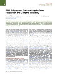 Leading Edge Perspective RNA Polymerase Backtracking i