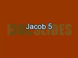 Jacob 5