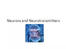 Neurons and Neurotransmitters