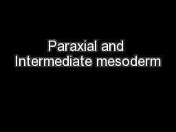 Paraxial and Intermediate mesoderm