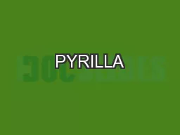 PYRILLA