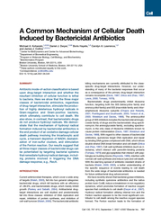 A Common Mechanism of Cellular Death Induced by Bacter