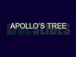 APOLLO’S TREE