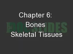 Chapter 6: Bones Skeletal Tissues
