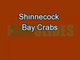 Shinnecock Bay Crabs