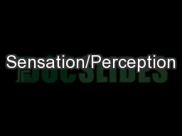 Sensation/Perception