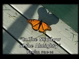“In The Shadow