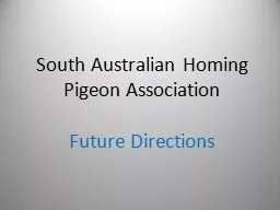 South Australian Homing Pigeon Association