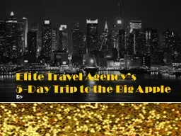Elite Travel Agency’s