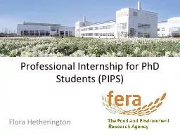Professional Internship for PhD Students (PIPS)