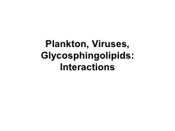 Plankton, Viruses,