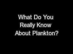 What Do You Really Know About Plankton?