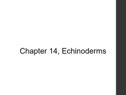 Chapter 14, Echinoderms