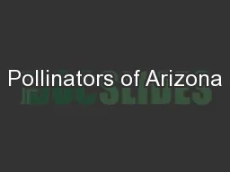 Pollinators of Arizona