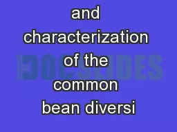 Development and characterization of the common bean diversi