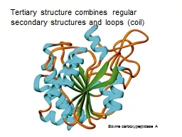 Tertiary structure combines regular secondary structures an