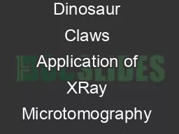 THE ANATOMICAL RECORD   Biomechanics of Dromaeosaurid Dinosaur Claws Application of XRay