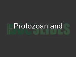 Protozoan and