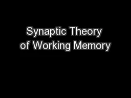 Synaptic Theory of Working Memory