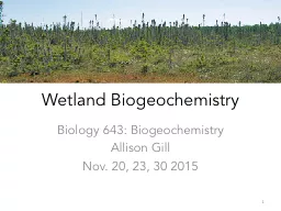 Wetland Biogeochemistry