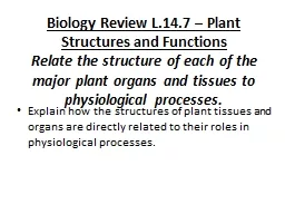 Biology Review L.14.7 – Plant Structures and Functions