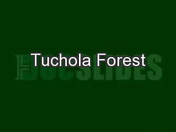 Tuchola Forest