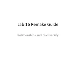 Lab 16 Remake Guide