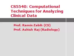 Prof. Ramin Zabih (CS)
