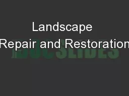 Landscape Repair and Restoration