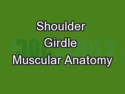 Shoulder Girdle Muscular Anatomy